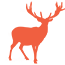 red deery